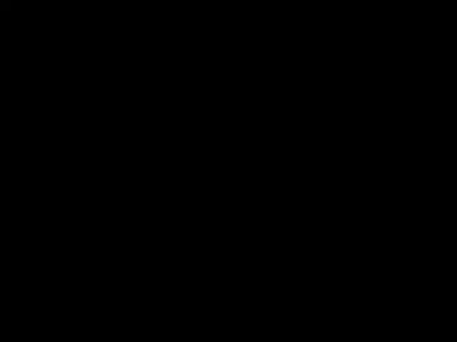 完美犯罪是否真的存在?